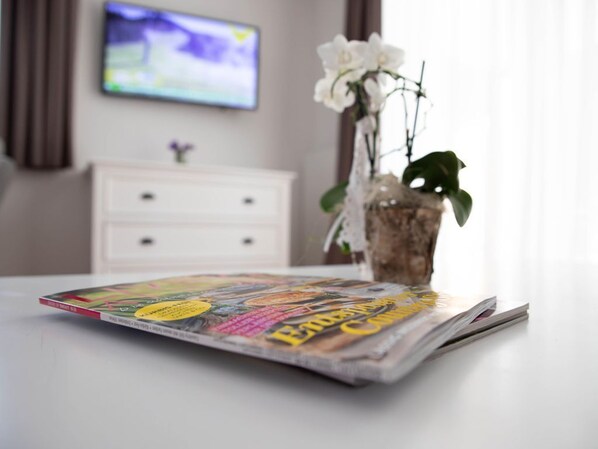 Fernseher