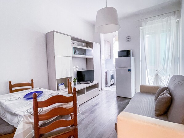 Living room with double sofa bed, flat screen TV and veranda balcony with washing machine inside.