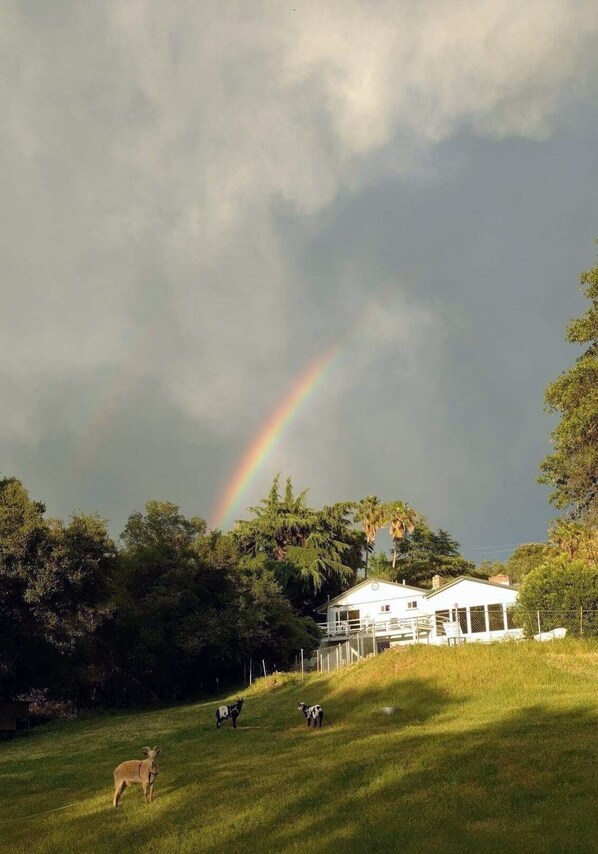 Terrenos do alojamento