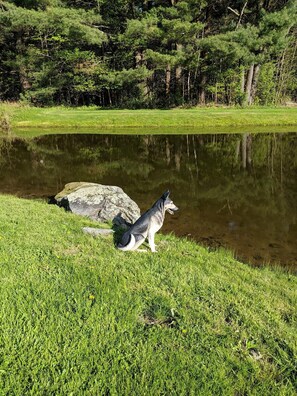 Parco della struttura