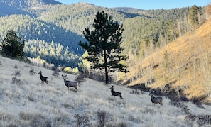 Deportes de invierno y ski