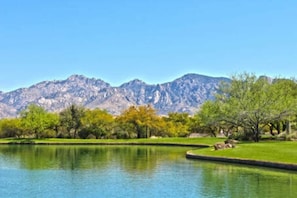 Club Wyndham Rancho Vistoso_2.jpg