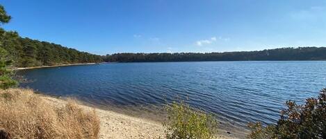 Private beach on Goose Pond