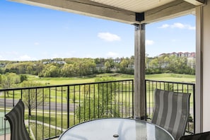 View Form the Deck