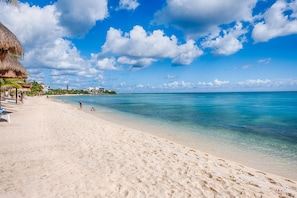 Reef condos beachfront