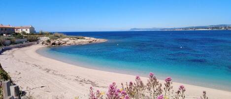 La plage située en face de l'appartement, à moins d'une minute ! 