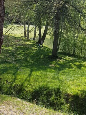 Property grounds