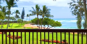 Spectacular Beach Front, Water's Edge, 180 degree view!