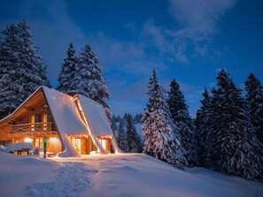 Wolke, Himmel, Gebäude, Schnee, Pflanze, Baum, Ast, Steigung, Haus, Lärche