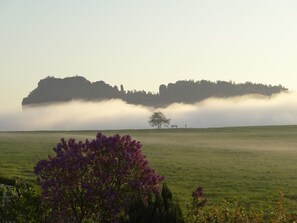 Weitblick mit Elbnebel