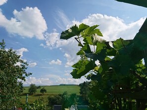 Blick zum Zirnstein