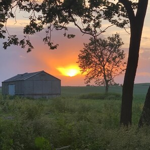 backyard sunset