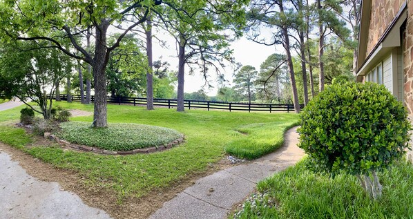 Front Yard View