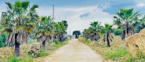 Terrain de l’hébergement 