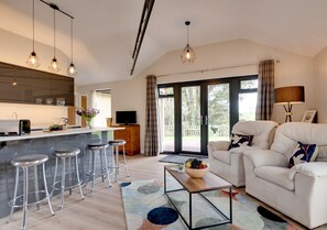 Lounge / Kitchen / Diner