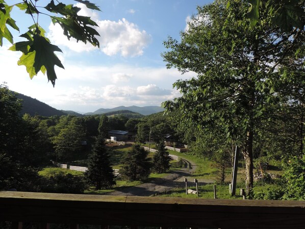 View from property
