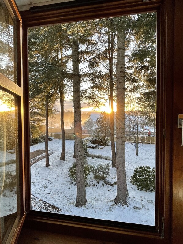 Bedroom view