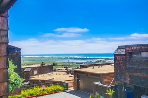 Views of Torrey Pines State Reserve