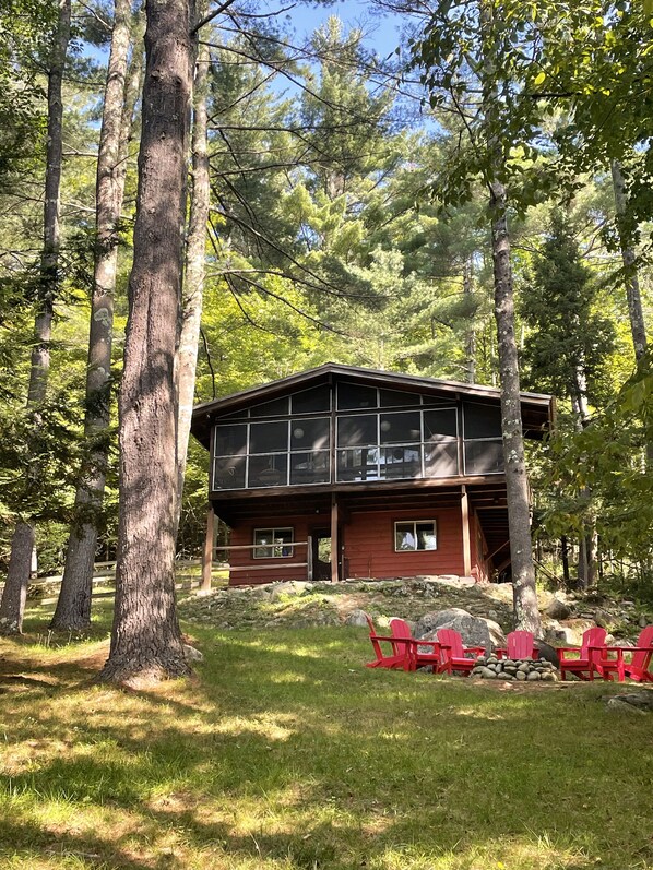 Forest Hideaway