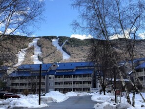 Ulkopuoli