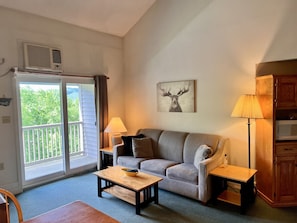 enjoy the stunning Mountain and River View from our cozy living room