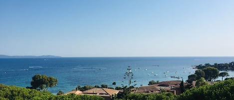 Vue sur la plage/l’océan