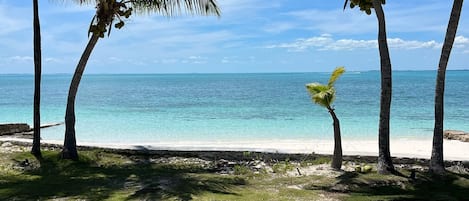 View from back patio