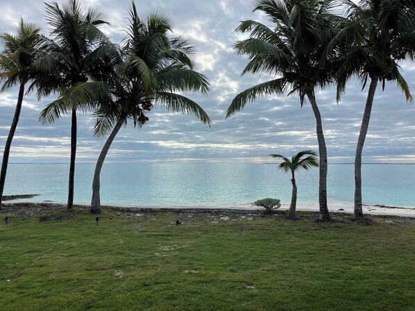 View from back porch