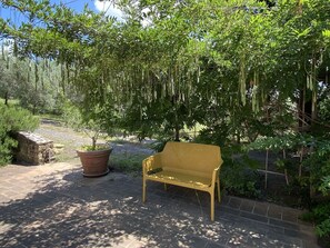 Plant, Plant Community, Outdoor Bench, Shade, Tree, Outdoor Furniture, Land Lot, Natural Landscape, Terrestrial Plant, Groundcover
