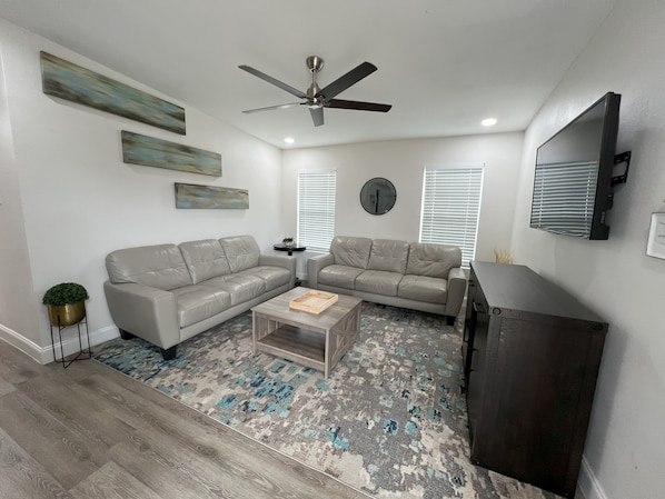 Large Living Room