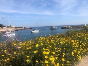 Plage