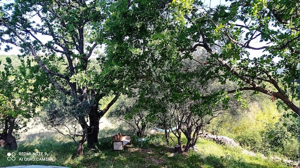 Enceinte de lâhĂ©bergement