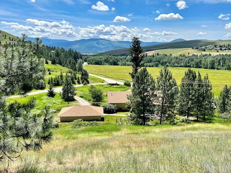 Country-like setting just 5 minutes from town!