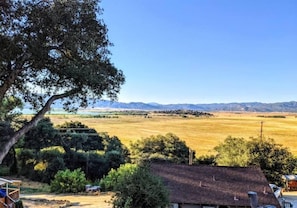 Amazing views of the valley throughout the property