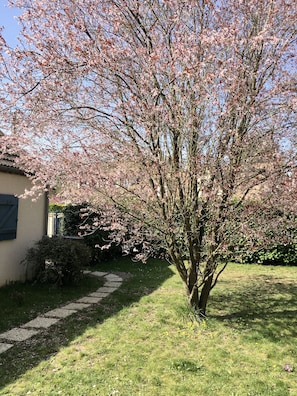 Boendeområde