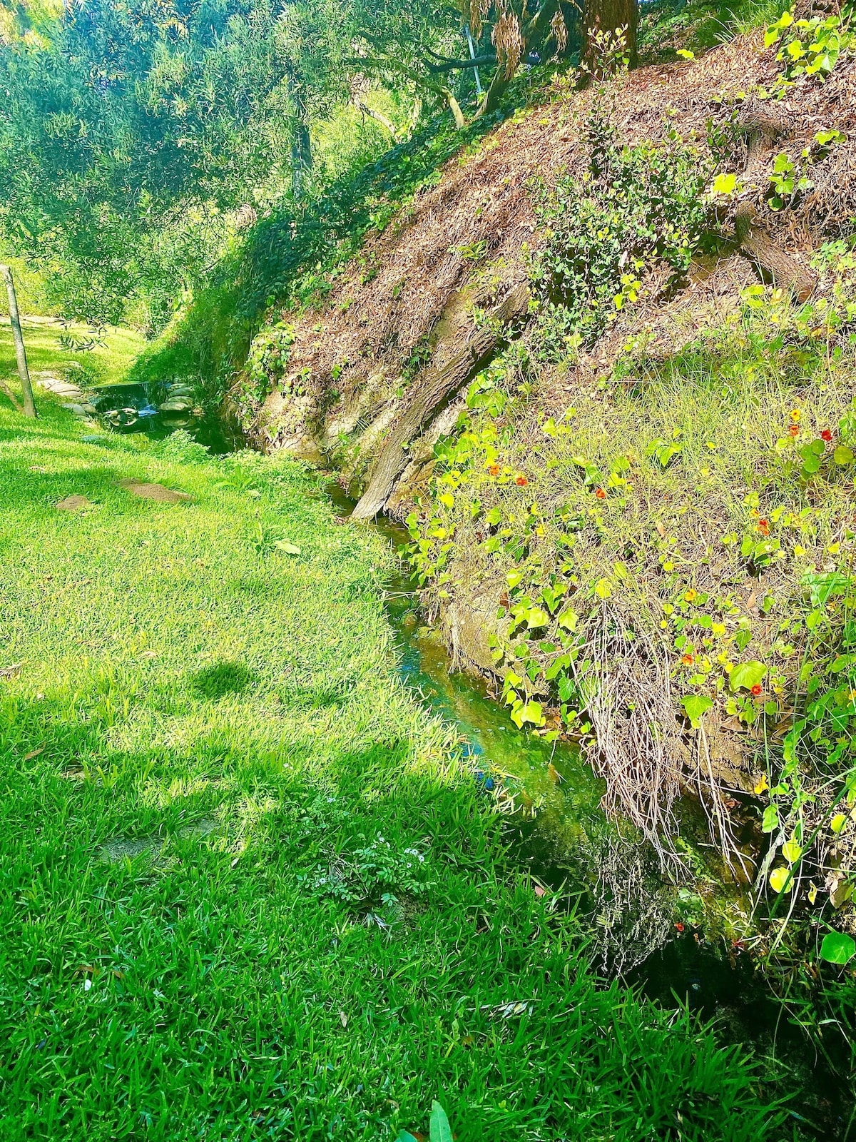 Serene, tropical oasis-walk to beautiful beaches