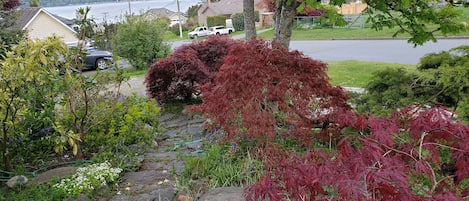 Jardines del alojamiento