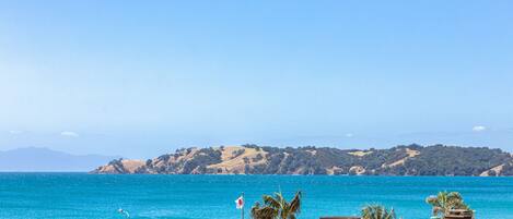 Beach/ocean view