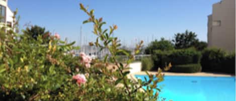 la piscine de la résidence, et juste derriÚre, les mats du port de plaisance !