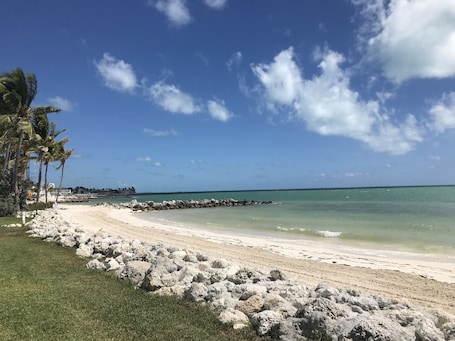Ocean view