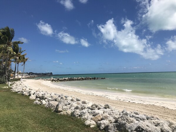 Ocean view