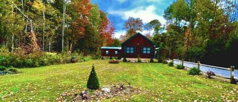 Fall leaves and cabin from street.  