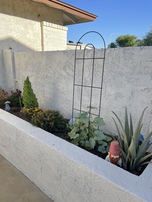 Planters by garage