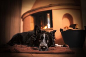 2 Hunde sind herzlich willkommen
