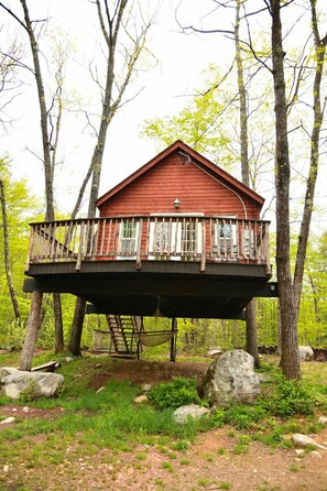 The Spruce Suite (3)