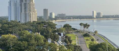 Directly on Bayshore Boulevard