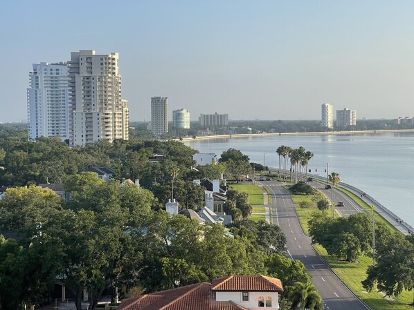 Directly on Bayshore Boulevard