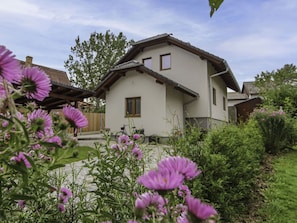 Fiore, Cielo, Pianta, Costruzione, Finestra, Nube, Comunita 'Impianto, Casa, Albero, Petalo