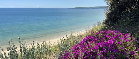 Canford Cliffs Beach only a 5 minute scenic woodland walk from the apartment