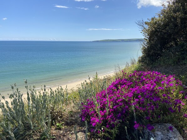 Canford Cliffs Beach only a 5 minute scenic woodland walk from the apartment